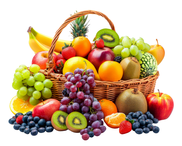 SAJI SEGAR - Supply Bahan Pangan