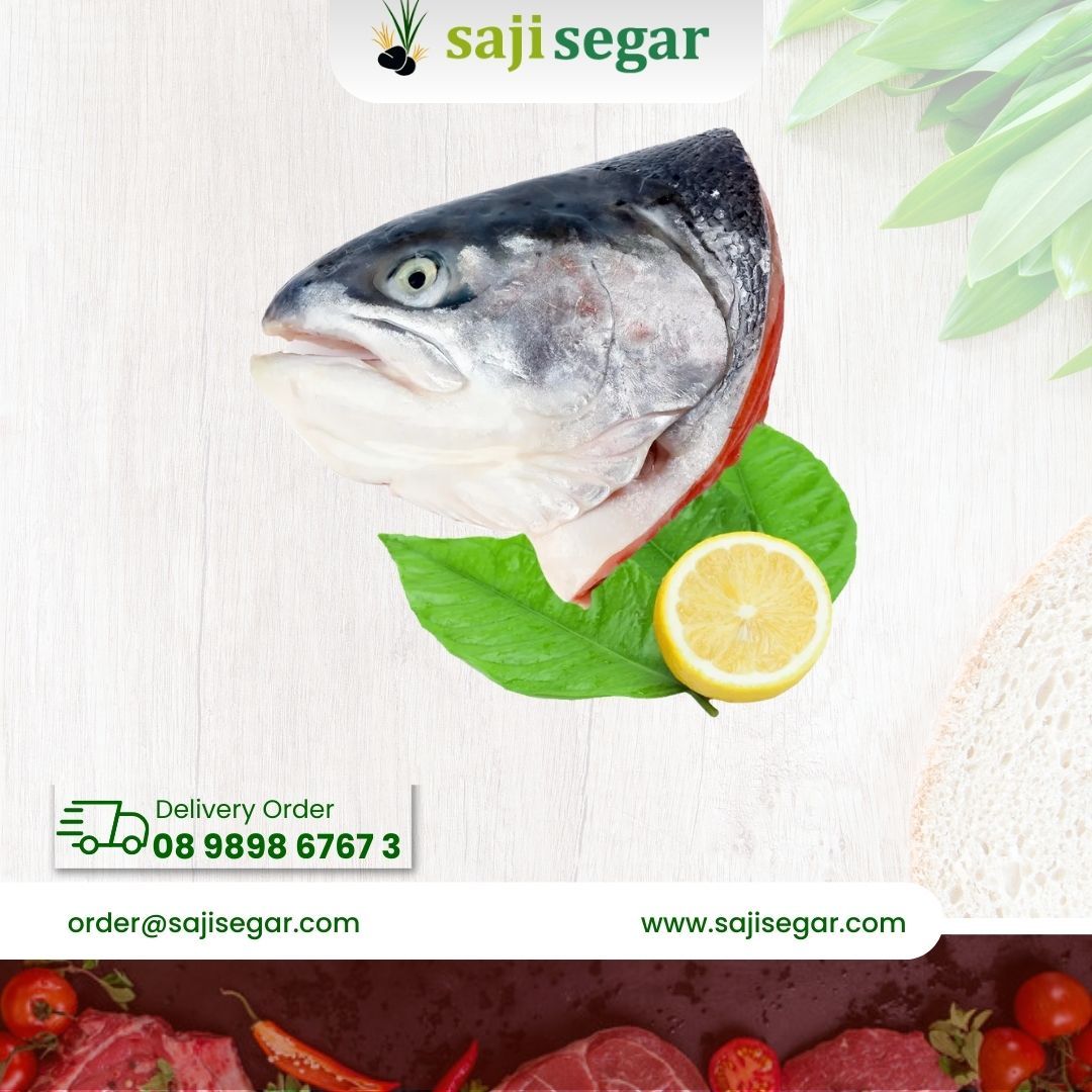 Salmon Coho Frozen Headless / ikan salmon (Tanpa Kepala) beku / Salmon HL