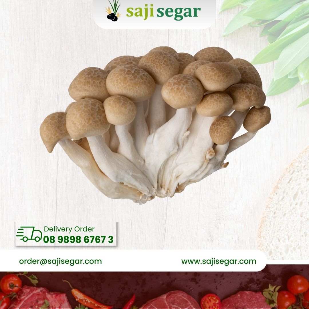 Jamur shimeji coklat / pcs