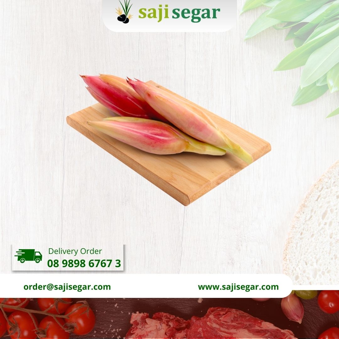 bunga kencong / kecombrang / pcs / biji