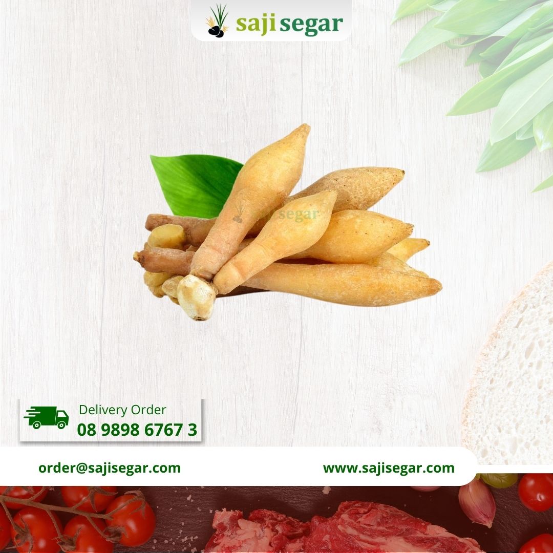 Temu kunci / 100gram