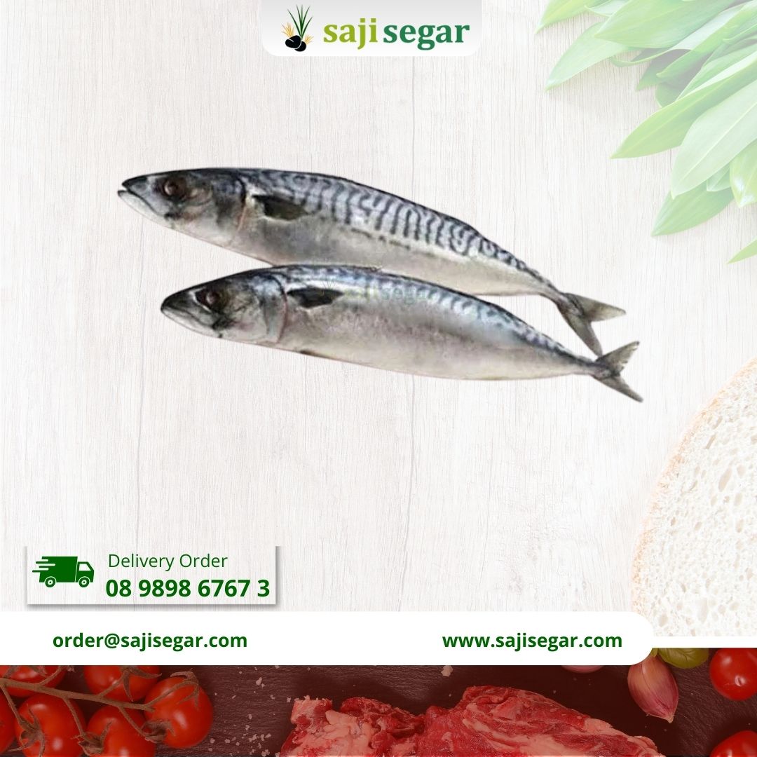 Ikan Salem 450-500gr